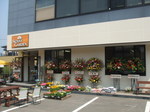DSCF2236.JPG